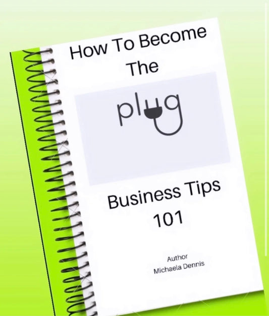 “How To Become The Plug” (EBOOK)